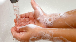 Wash your hands